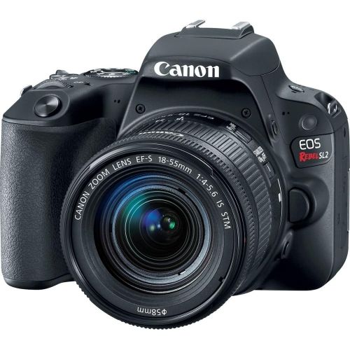 캐논 Canon EOS Rebel SL2 DSLR Camera with 18-55mm Lens (Black) (2249C002) + Canon EOS Bag + Sandisk Ultra 64GB Card + Clean and Care Kit (International Model)