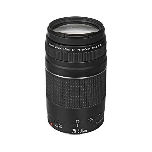 캐논 Canon EF 75-300mm f/4-5.6 III Telephoto Zoom Lens for Canon SLR Cameras