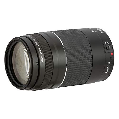 캐논 Canon EF 75-300mm f/4-5.6 III Telephoto Zoom Lens for Canon SLR Cameras