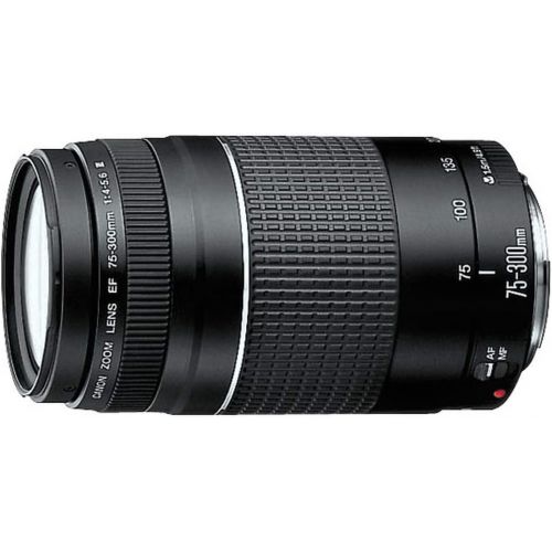 캐논 Canon EF 75-300mm f/4-5.6 III Telephoto Zoom Lens for Canon SLR Cameras