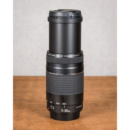 캐논 Canon EF 75-300mm f/4-5.6 III Telephoto Zoom Lens for Canon SLR Cameras