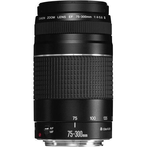 캐논 Canon EF 75-300mm f/4-5.6 III Telephoto Zoom Lens for Canon SLR Cameras