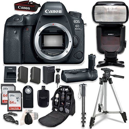 캐논 Canon EOS 6D Mark II DSLR Body - with Canon BG-E21 Battery Grip + Professional Accessory Bundle (14 Items)