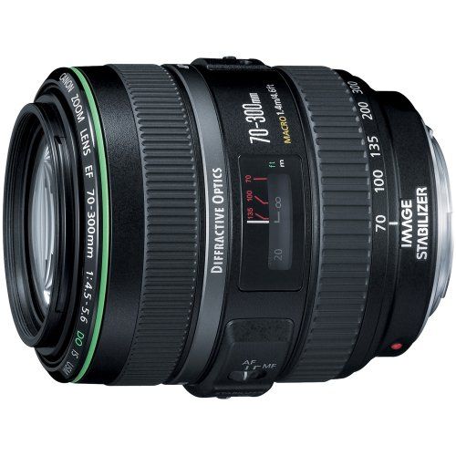 캐논 Canon EF 70-300mm f/4.5-5.6 DO IS USM Lens for Canon EOS Cameras