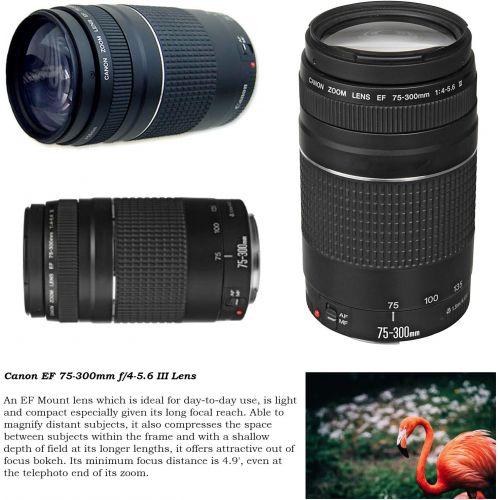 캐논 Canon EOS Rebel T7 DSLR Camera with 18-55mm is II Lens + Canon EF 75-300mm III and 420-800mm Preset Zoom Lens + 128GB Memory + Filters + Editing Software + Spider Flex Tripod + Pro