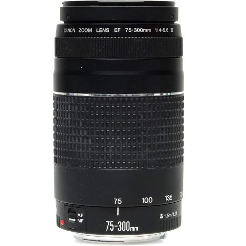 캐논 Canon EF 75-300mm f/4-5.6 III Telephoto Zoom Lens for Canon SLR Cameras