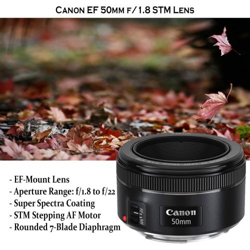 캐논 Canon EOS 80D DSLR Camera w/ 18-55mm Lens Bundle + Canon 75-300mm III Lens, Canon 50mm f/1.8 & 500mm Preset Lens + Battery Grip + Deluxe Case + 96GB Memory + Speedlight Flash + Pro