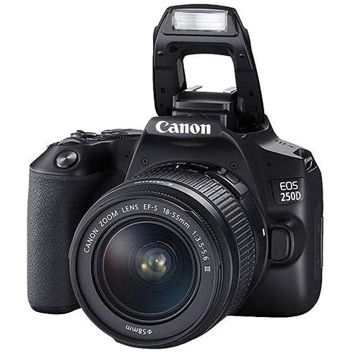 캐논 Canon EOS 250D / Rebel SL3 Digital SLR Camera Body w/Canon EF-S 18-55mm f/3.5-5.6 Lens 3 Lens DSLR Kit Bundled with Complete Accessory Bundle + 64GB + Flash + Case & More - Interna