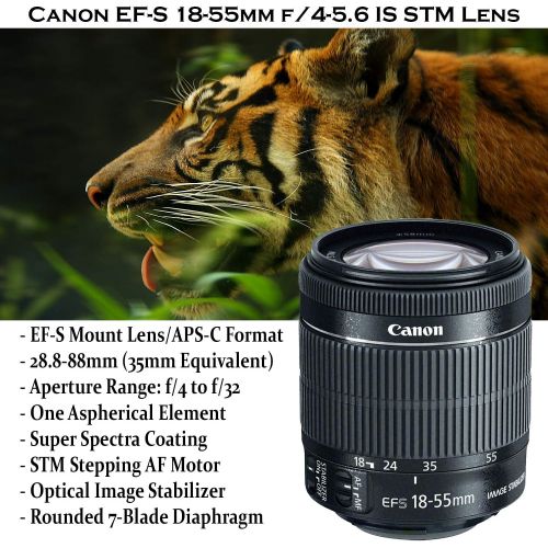 캐논 Canon EOS Rebel T7i DSLR Camera Bundle with Canon EF-S 18-55mm STM Lens + 32GB Sandisk Memory + Camera Case + TTL Speedlight Flash (Good Upto 180 Feet) + Accessory Bundle