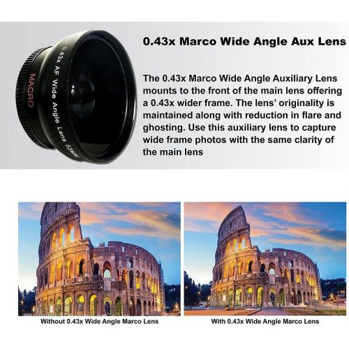 캐논 Canon EOS 2000D / Rebel T7 Digital SLR Camera 24.1MP with 18-55mm + 75-300mm Lens, ZeeTech Accessory Bundle, 2 Pack SanDisk 32GB Memory Card, Telephoto + Wideangle Lenses, Flash, C