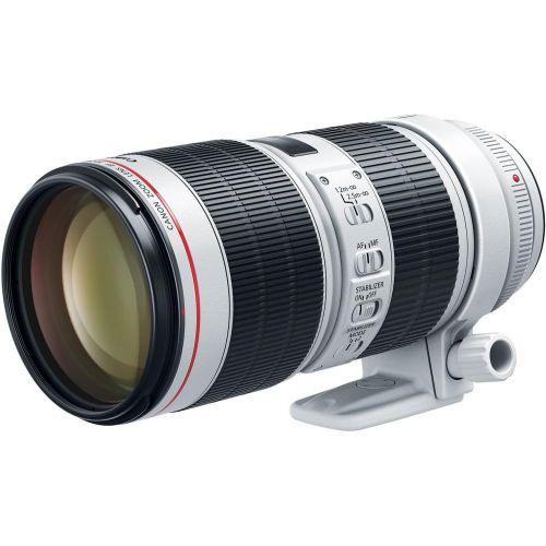 캐논 [아마존베스트]Canon EF 70-200mm f/2.8L is III USM Lens (3044C002) with Professional Bundle Package Kit for Canon EOS Includes: DSLR Sling Backpack, 9PC Filter Kit, Sandisk 64GB SD + More