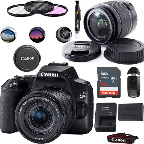 캐논 [아마존베스트]Deal-Expo EOS 250D DSLR Camera with EF-S 18-55mm Lens - Basic Accessories Bundle