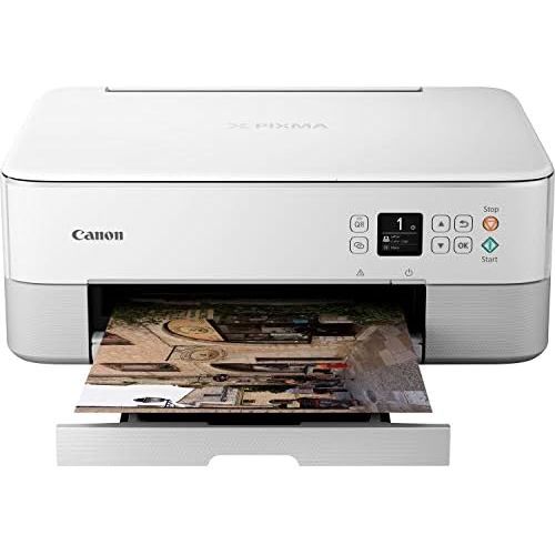 캐논 [아마존베스트]Canon Pixma TS5350 Colour Ink-Jet-All-in-One Device (Print, Scan, Copy, 3.8 cm LCD Display, WiFi, Print App, 4800x 1200Dpi), White