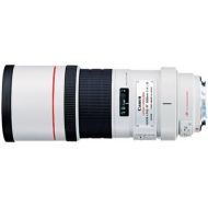Canon EF 300mm f4L IS USM Telephoto Fixed Lens for Canon SLR Cameras Filter Bundle