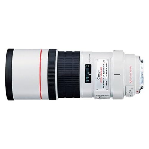 캐논 Canon EF 300mm f4L IS USM Telephoto Fixed Lens for Canon SLR Cameras Filter Bundle