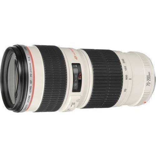 캐논 Canon EF 70-200mm f4L USM Telephoto Zoom Lens for Canon SLR Cameras International Version (No Warranty)