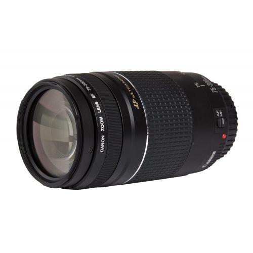 캐논 Canon EF 75-300mm f4-5.6 III USM Telephoto Zoom Lens for Canon SLR Cameras
