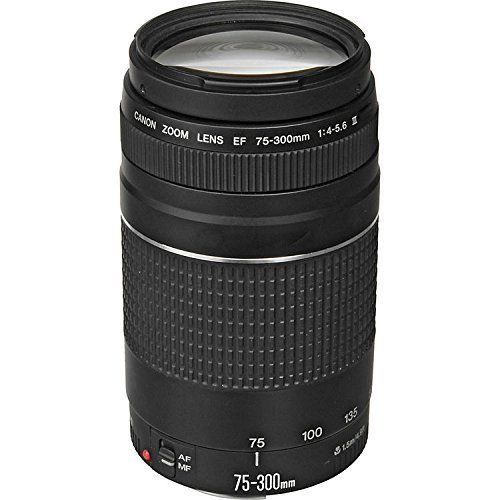 캐논 Canon EF 75-300mm f4-5.6 III Zoom Lens for Canon EOS 7D, 60D, EOS Rebel SL1, T1i, T2i, T3, T3i, T4i, T5i, XS, XSi, XT, XTi Digital SLR Cameras + RADIO ELECTRONICS USA Micro Fiber