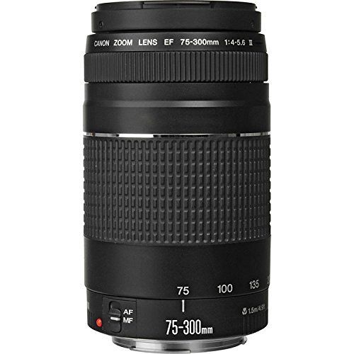 캐논 Canon EF 75-300mm f4-5.6 III Zoom Lens for Canon EOS 7D, 60D, EOS Rebel SL1, T1i, T2i, T3, T3i, T4i, T5i, XS, XSi, XT, XTi Digital SLR Cameras + RADIO ELECTRONICS USA Micro Fiber