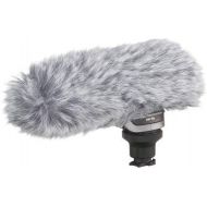 Canon 2591B002 DM-100 Directional Stereo Microphone for HFHG Series Camcorders