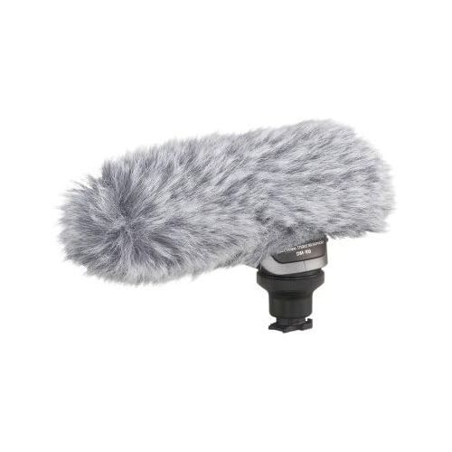 캐논 Canon 2591B002 DM-100 Directional Stereo Microphone for HFHG Series Camcorders