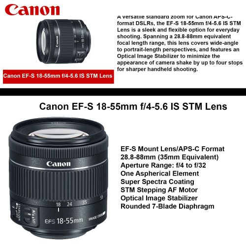 캐논 Canon EOS Rebel T7i Digital SLR Camera with EF-S 18-55mm is STM USA (Black) 19PC Professional Bundle Package Deal SanDisk 64gb SD Card + Canon Shoulder Bag + More