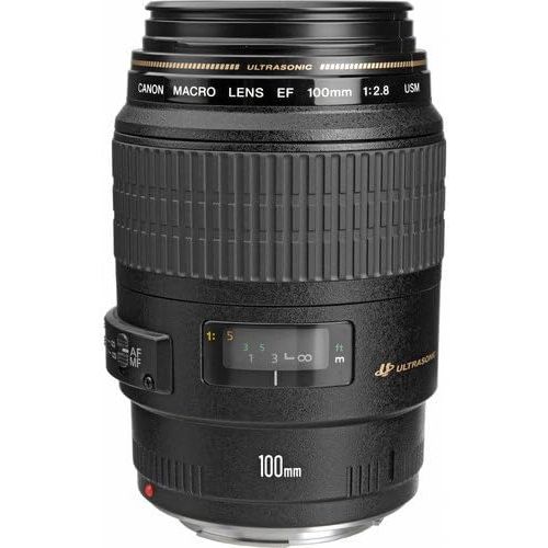 캐논 Canon EF 100mm f2.8 Macro USM Lens Bundle with Manufacturer Accessories & Premium Kit for EOS 7D Mark II, 7D, 80D, 70D, 60D, 50D, 40D, 30D, 20D, Rebel T6s, T6i, T5i, T4i, SL1, T3,