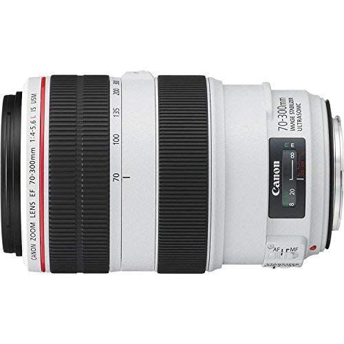 캐논 Canon(6AVE) Canon EF 70-300mm f4-5.6L is USM Lens Bundle w 64GB Memory Card + Accessories 3 Piece Filter Kit (International Model)