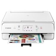 Canon Office Products PIXMA TS6020 Wireless color Photo Printer with Scanner & Copier,Mobile Printing, Auto Duplex and Business Card Printing White