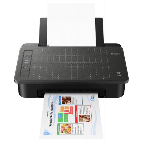 캐논 Canon TS302 Wireless Inkjet Printer, Black (2321C002)