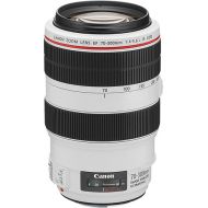Bestbuy Canon - EF 70300mm f45.6L IS USM Telephoto Zoom Lens - White