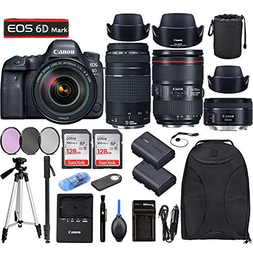  Canon Intl. Canon EOS 6D Mark II DSLR Camera with EF24-105mm f/4L II USM + EF 50mm f/1.8 STM + EF 75-300mm f/4-5.6 III Lenses Bundle, Accessories (256Gb Memory Card, Extra Battery, Travel Char