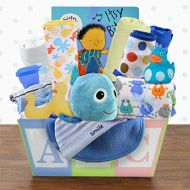 Capalbos Gift Baskets Welcome Home Baby Boy Medium Gift Basket