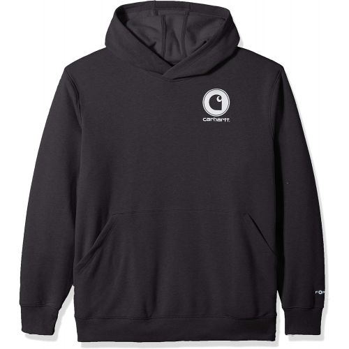  Carhartt Mens Force Delmont Graphic Hooded Sweatshirt (Regular and Big & Tall Sizes)