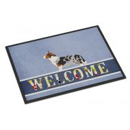 Carolines Treasures BB8313JMAT Welsh Corgi Cardigan Welcome Indoor or Outdoor Mat 24x36, 24H X 36W, Multicolor