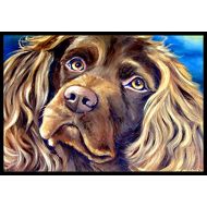 Carolines Treasures 7402MAT Boykin Spaniel Indoor or Outdoor Mat 18x27, 18H X 27W, Multicolor