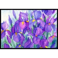 Carolines Treasures IBD0256JMAT Purple Iris Indoor or Outdoor Mat 24x36, 24H X 36W, Multicolor