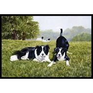 Carolines Treasures FRF0014MAT Lets Play Border Collie Indoor or Outdoor Mat 18x27, 18H X 27W, Multicolor