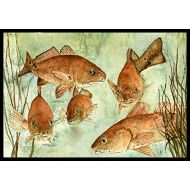 Carolines Treasures 8983JMAT Red Fish Swim Indoor or Outdoor Mat 24x36, 24H X 36W, Multicolor