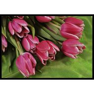 Carolines Treasures APH5048JMAT Pink Tulips Indoor or Outdoor Mat 24x36, 24H X 36W, Multicolor