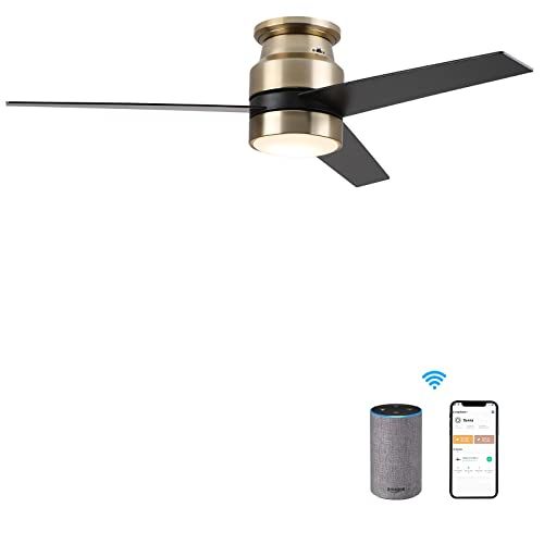  Carro 52 inch Low Profiel Ceiling Fan with Light, Smart Ceiling Fan with Light Control Work With Alexa/Google Home/Siri Needs Neutral Wire, No Hub RequiredReversible MotorSchedule (Gold/