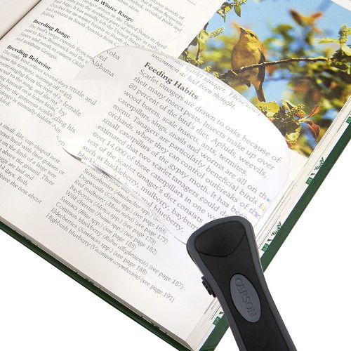  Carson RM-77 2x Lighted RimFree Magnifier