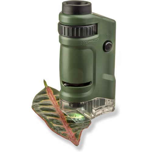  Carson MicroBrite 20x-40x LED Lighted Pocket Microscope for Learning, Education and Exploring (MM-24, MM-24MU): Toys & Games