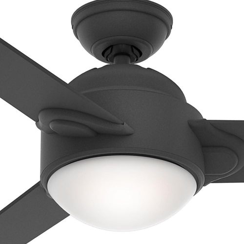  Casablanca 59081 Trident 54-Inch Graphite Finish Ceiling Fan with Three GraphiteWalnut Blades with a Light Kit