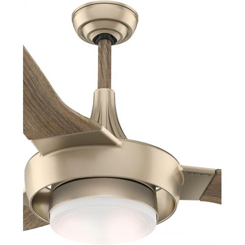  Casablanca 59168 Perseus Indoor Ceiling Fan with Wall Control, Large, Metallic Sunsand