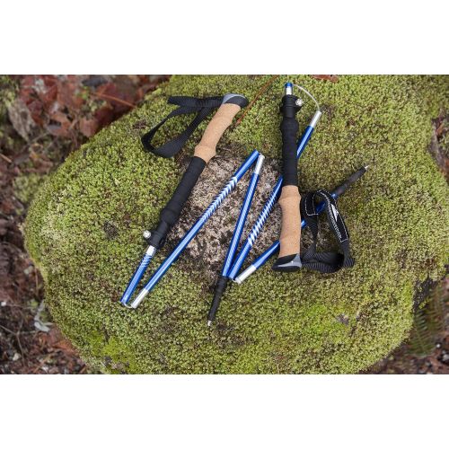  Cascade Mountain Tech Trekking Poles