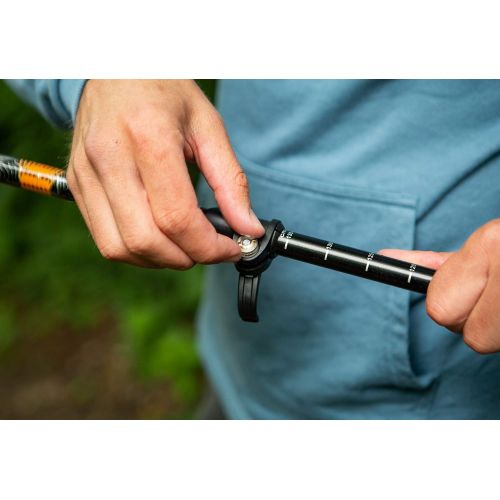  Cascade Mountain Tech Trekking Poles