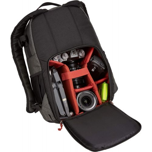 Case Logic ERA DSLR Camera Backpack, Medium, Black/ Grey