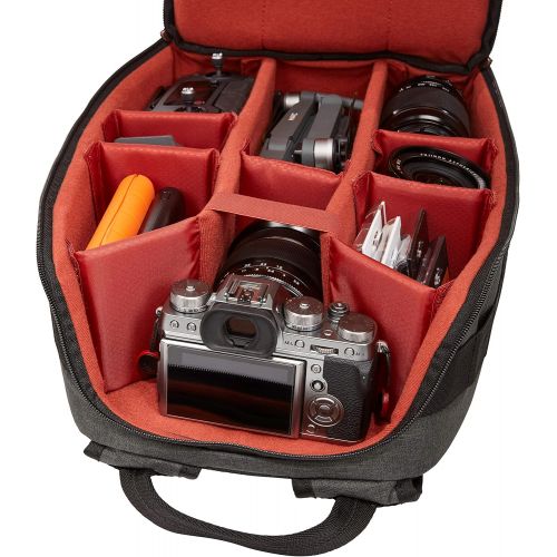  Case Logic ERA DSLR Camera Backpack, Large