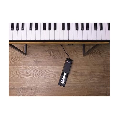 카시오 Casio CT-S300 61-Key Premium Keyboard Pack with Stand, Headphones & Power Supply (CAS CTS300 PPK) & M-Audio SP 2 - Universal Sustain Pedal, Digital Pianos & More